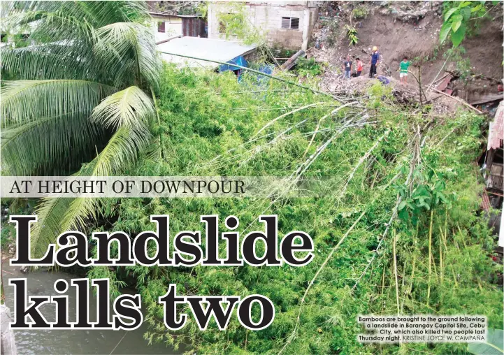  ?? KRISTINE JOYCE W. CAMPAÑA ?? Bamboos are brought to the ground following a landslide in Barangay Capitol Site, Cebu
City, which also killed two people last Thursday night.