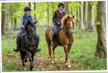  ??  ?? “New Forests connect you with traditions and a way of life,” says Louise Booth (right)