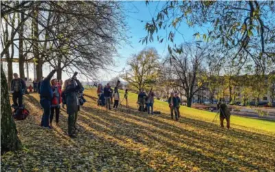  ?? Foto: Kjellll Isaksen ?? ⮉ Flere hundre skuelystne har i helgen vært på Torshov for å se en sjelden slagugle.