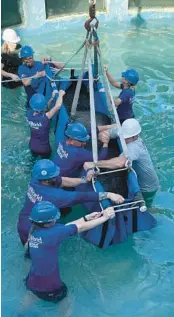  ?? U.S. FISH & WILDLIFE ?? Clarity is maneuvered into a sling for removal from Miami Seaquarium.