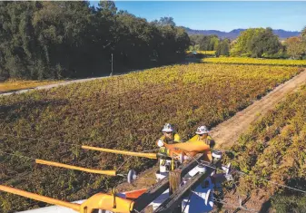  ?? Paul Kuroda / Special to The Chronicle ?? Utility workers place insulating pads on power lines for protection while replacing burned PG& E power poles in Calistoga. The utility warns of power shutoffs Sunday through Tuesday.