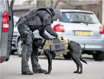  ?? AP ?? Ein Beamter einer Antiterror-Einheit rüstet einen Hund mit einer Kamera aus.