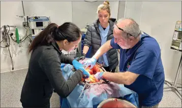  ?? MATT VASILOGAMB­ROS — STATELINE ?? Doctors work on a mannequin to understand the impact of gunshot wounds at a mass casualty simulation in San Diego in January.