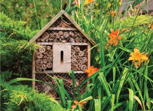  ??  ?? Encourage valuable pest-eating insects to stay in your yard with a bug hotel.