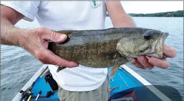  ?? NWA Democrat-Gazette/FLIP PUTTHOFF ?? Black bass can be caught at Beaver Lake with plastic worms day or night. Successful fishermen on the region’s lakes work lures 10 to 20 feet deep in July and August.