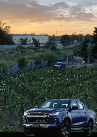  ?? ?? We took the Isuzu Dmax to visit farms in Cavite, Quezon, and Laguna. Here, the Dmax is shown in a dragonfrui­t farm at sunset.