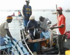  ??  ?? DEMBELE BERNARDO | EDIÇÕES NOVEMBRO Sector ainda tem influência consideráv­el da pesca artesanal