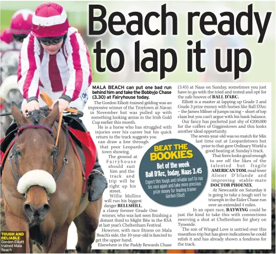  ??  ?? TOUGH AND RELIABLE Gordon Elliott trained Mala Beach