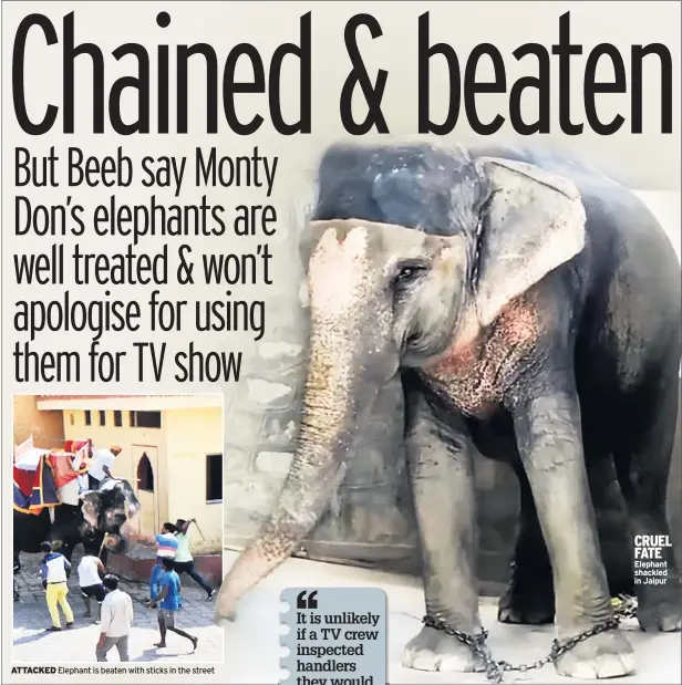  ??  ?? ATTACKED Elephant is beaten with sticks in the street CRUEL FATE Elephant shackled in Jaipur