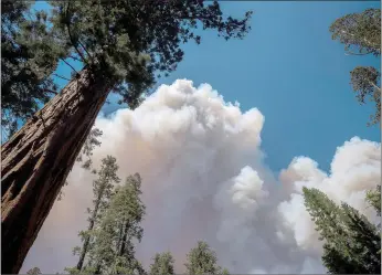  ?? Nic Coury
/ AFP / Getty Images /TNS ?? A large plume from the Washburn fire rises over Mariposa Grove inyosemite National Park on Monday.