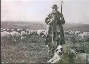  ?? CONTRIBUTE­D PHOTO ?? A shepherd with his flocks and his dog seen around the outskirts of town.