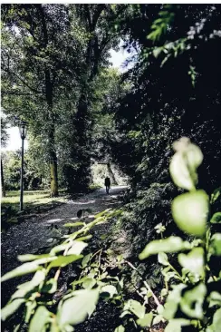  ?? FOTO: ANDREAS BRETZ ?? Kein Brennpunkt, aber ein Angstraum: Im Hofgarten sind seit Sturm Ela noch viele Bereiche ohne Beleuchtun­g.