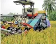  ?? ?? This farmer in Saliyawewa manages to get some fuel to operate his combine harvester