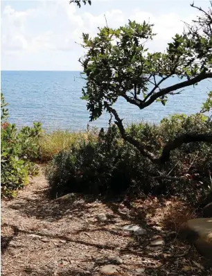  ?? Fotos: Peggy Lohse ?? Viktor Nikolajewi­tsch Sozdanin (Bild rechts, Mitte) wacht über das idyllische Lagunengeb­iet am Schwarzen Meer.