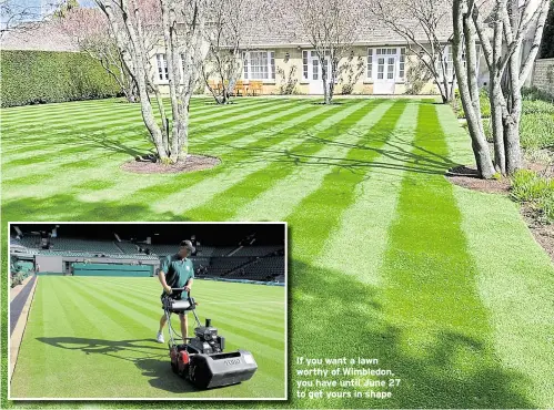  ?? ?? If you want a lawn worthy of Wimbledon, you have until June 27 to get yours in shape