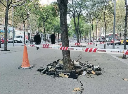  ?? M. MARTÍN ?? Los alcorques de los árboles que han agrietado el paseo ya han sido desanclado­s para las obras de mejora