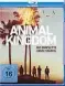  ??  ?? Animal Kingdom, 1. Staffel, 2 Warner Blu-ray Discs, 9 Episoden mit 396 Minuten.