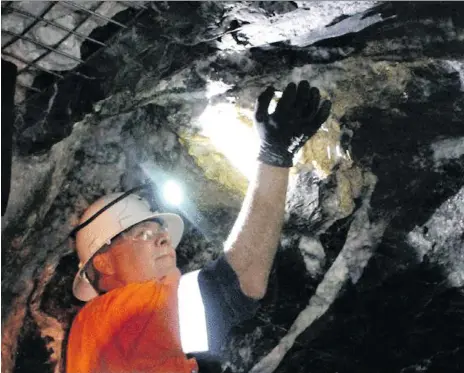  ?? COURTESY KEVIN SMALL ?? Kevin Small, head of Toronto-based RNC MInerals’ Beta Hunt Mine, pulls on a chunk of gold at the nickel miner’s property in Western Australia. The discovery, seen as “very rare” by observers, has helped the firm turn around its fortunes, decimating its debt and lifting its stock.