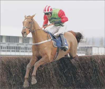  ??  ?? Definitly Red and Danny Cook winning the Cotswold Chase at Cheltenham.