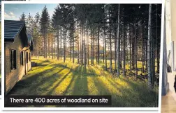  ??  ?? There are 400 acres of woodland on site