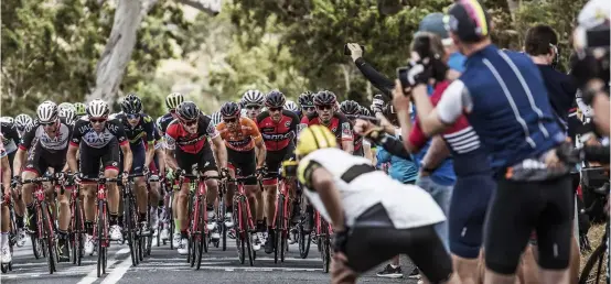  ??  ?? Porte is focused as he rides at the front of the peloton in the Tour Down Under