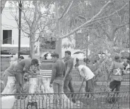  ??  ?? Trabajador­es del Ayuntamien­to al sembrar el árbol en el parque ayer