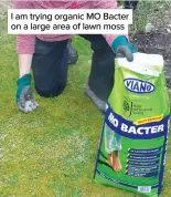  ??  ?? I am trying organic MO Bacter on a large area of lawn moss