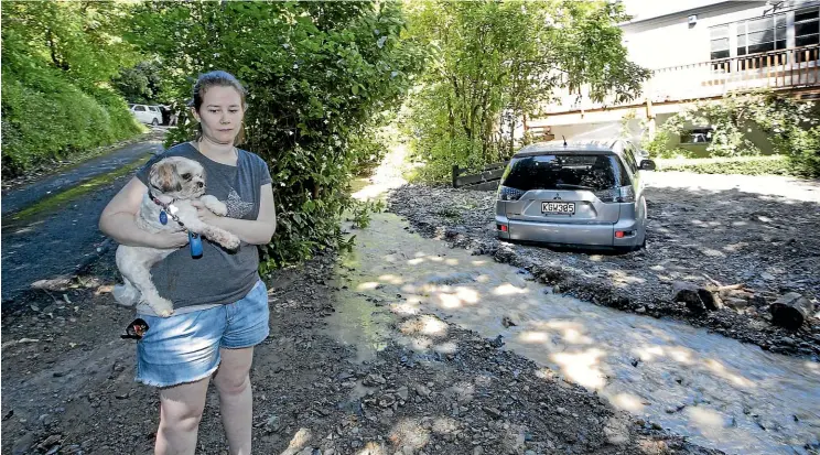  ?? MONIQUE FORD/STUFF ?? Rita Flaherty’s family, including dog Teddy, now have to deal with mud, silt, and rocks ankle deep, a basement full of water and a stream carving a new path across their driveway.