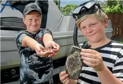  ?? SCOTT HAMMOND/STUFF ?? Friends Flynn Taylor, 12, left and Mason Nicklin, 11, were snorkellin­g in the Pelorus River when they found a stolen purse. Badges found in the purse belonged to Beryl White, 97, who died last year.