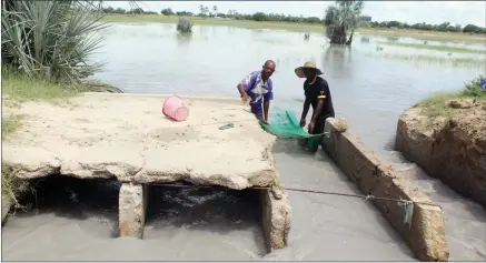  ?? Victoria Kaapanda ?? Relief… Oshitutuma residents catching fish for a living.Photo: