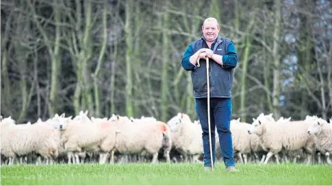  ?? ?? CHANGING TIMES: Harry Emslie has grown his sheep enterprise 10-fold to 4,000 ewes.