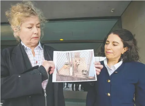  ?? JASON PAYNE/PNG FILES ?? Lawyer Victoria Shroff, right, with client Susan Santics, whose dog Punky is on death row for attacking a woman in an off-leash park. Shroff and Santics’s appeal of the death sentence has failed.