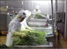  ??  ?? Workers inspect chives before they go into Bibigo dumplings at an automated factory of CJ CheilJedan­g Corp. in Incheon, South Korea.