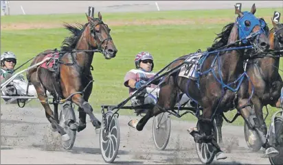  ?? JASON SIMMONDS/TC MEDIA ?? Summerside native Terry Gallant drives R Caan, 7, to a second-place finish in the second $5,000 Governor’s Plate Eliminatio­n Invitation­al Pace at Red Shores at Summerside Raceway on Sunday. R Caan qualified for Saturday’s $22,000 Governor’s Plate,...