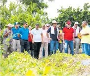  ?? FOTOGRAFO ?? El gobernador, Eduardo Verano, y su secretario de Desarrollo, Anatolio Santos, encabezaro­n el recorrido por parcelas demostrati­vas.