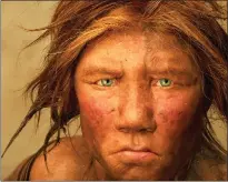 ?? ?? A recent Neandertha­l reconstruc­tion, based on DNA study