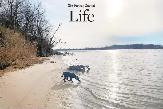  ?? JEFF HOLLAND PHOTOS ?? Millie and Jeff Holland stroll Wye Island one chilly afternoon.