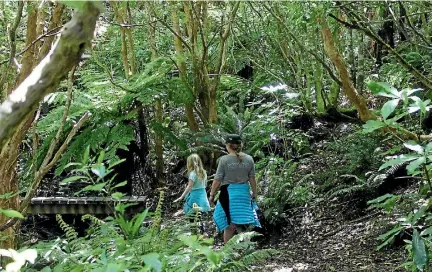  ?? PHOTO: FAIRFAX NZ ?? Hinewai Reserve, on Banks Peninsula, is where the Wellington Chamber of Commerce buys carbon credits to offset its carbon emissions.