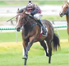  ?? Picture: AAP ?? TOO GOOD: Jockey Robbie Fradd rides Rothfire to victory in the 2YO Colts & Geldings Plate at Doomben last month.