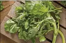  ?? DREAMSTIME ?? Rapini is a relative of the common broccoli you see most often at stores.