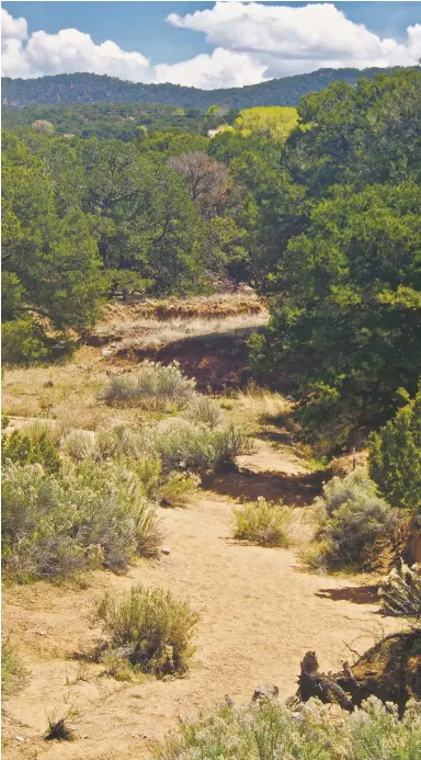  ?? NOËL- M A R I E F L E TCHER ?? Wilderness trail outside of Santa Fe toward La Bajada, showing the direction Greek George would have fled after allegedly murdering Alfred Bent. Greek George faked his suicide in La Bajada before escaping to California, where he spent the rest of his life as a minor Los Angeles celebrity.