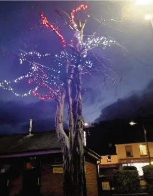  ?? ANDREA MOSELEY ?? The council put lights on this cut-back tree in Mountain Ash, leading residents to think it was going to be the town’s main Christmas tree