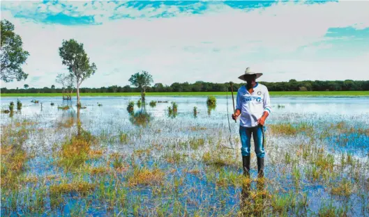  ??  ?? Indalecio Ojeda, llanero y habitante de Cinaruco, habla con propiedad sobre la importanci­a de las sabanas inundables de la Orinoquía.