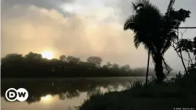  ??  ?? Más de la mitad de la superficie de Perú es selva amazónica.