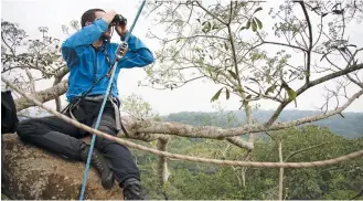  ?? (AFP photos) ?? Nicolas, an entomologi­st, scans the canopy of the forest, corded in a 40m high tree, in search of the butterfly, near Mogoumba. There is no data to ensure the conservati­on status of this species