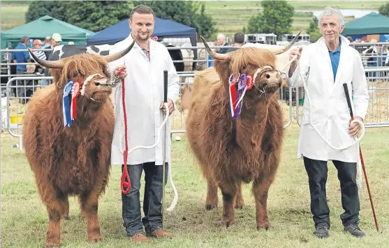  ?? Pictures: Ron Stephen. ?? Top: the MacNaughto­ns from Kelty repeated their Perth Show success by winning the Highland cattle championsh­ip and reserve title at Kinross. Left: the champion Clydesdale Finmont Ruby runs out for the judges. Right: some of the scarecrow entries.