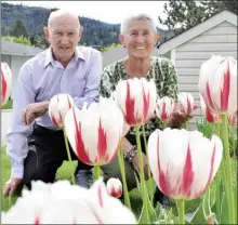  ?? JOE FRIES/Penticton Herald ?? Martin and Jerry Hagemeyer with some of the Canada 150 tulips planted outside their Penticton home.