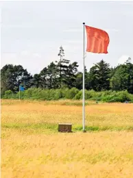  ??  ?? Flags indicate the front lines of both armies and show the vast scale of the battle. The red flag signifies the government forces’ position and the blue flags the Jacobites’.