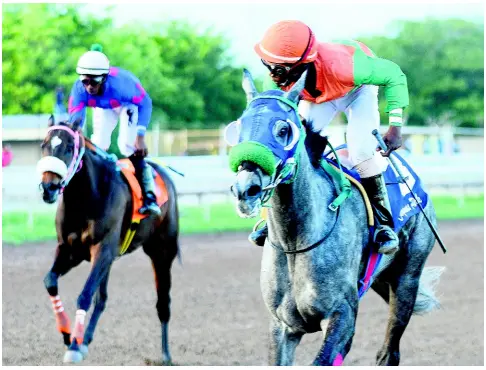  ?? FILE ?? STORM PRINCESS, ridden by Christophe­r Mamdeen, is clear of rivals at Caymanas Park on Saturday, February 2, 2019.