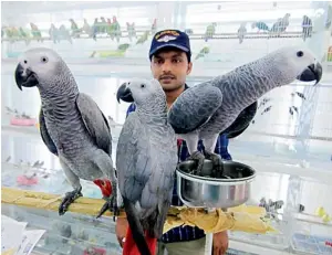  ?? KT file photo ?? Regular veterinary checkups at the Sharjah birds and animal market will help ensure public health. —